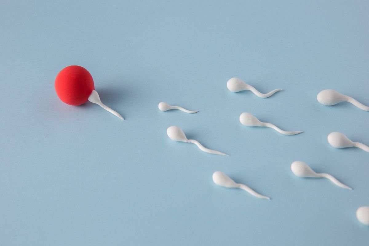 Low Sperm Count